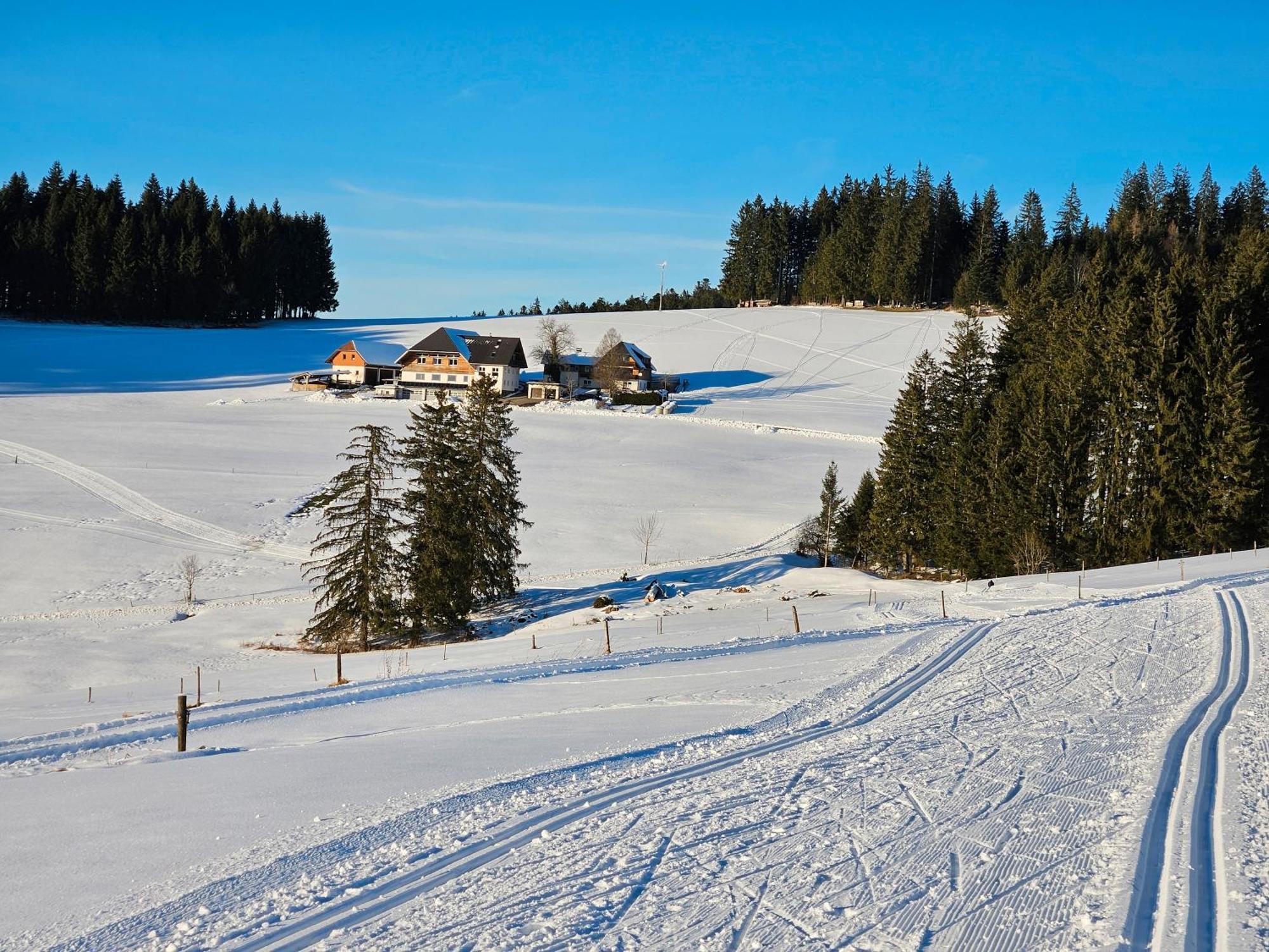 Lorenzenhaeusle Titisee-Neustadt Εξωτερικό φωτογραφία