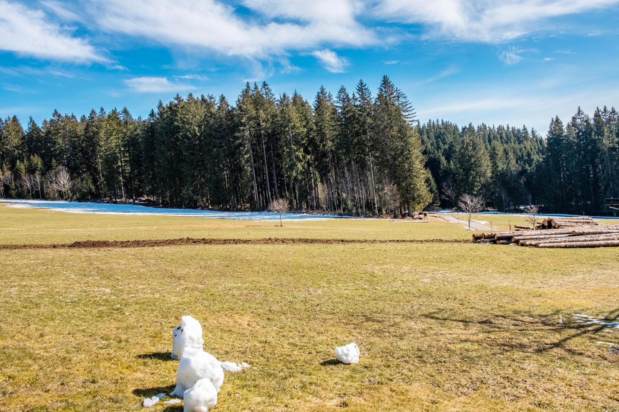 Lorenzenhaeusle Titisee-Neustadt Εξωτερικό φωτογραφία