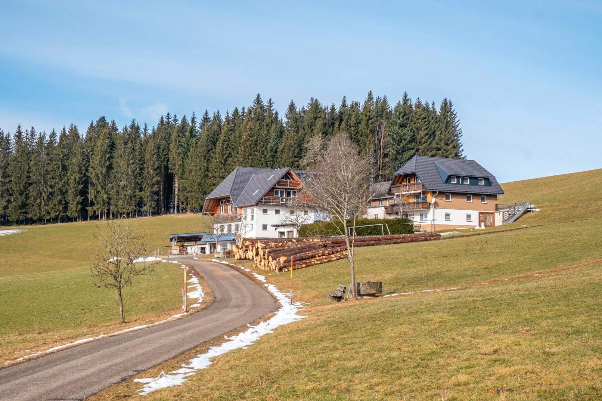Lorenzenhaeusle Titisee-Neustadt Εξωτερικό φωτογραφία
