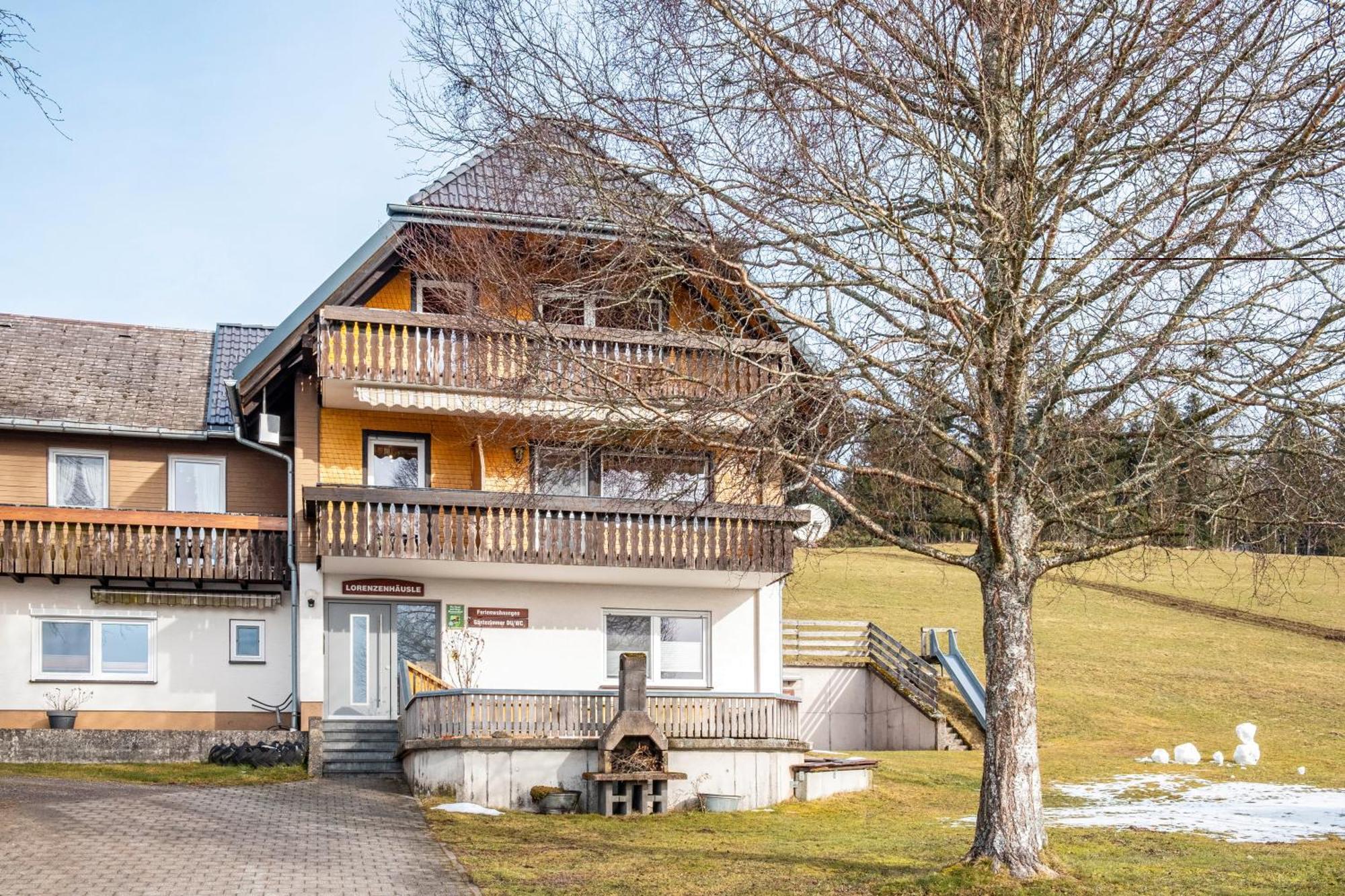 Lorenzenhaeusle Titisee-Neustadt Εξωτερικό φωτογραφία