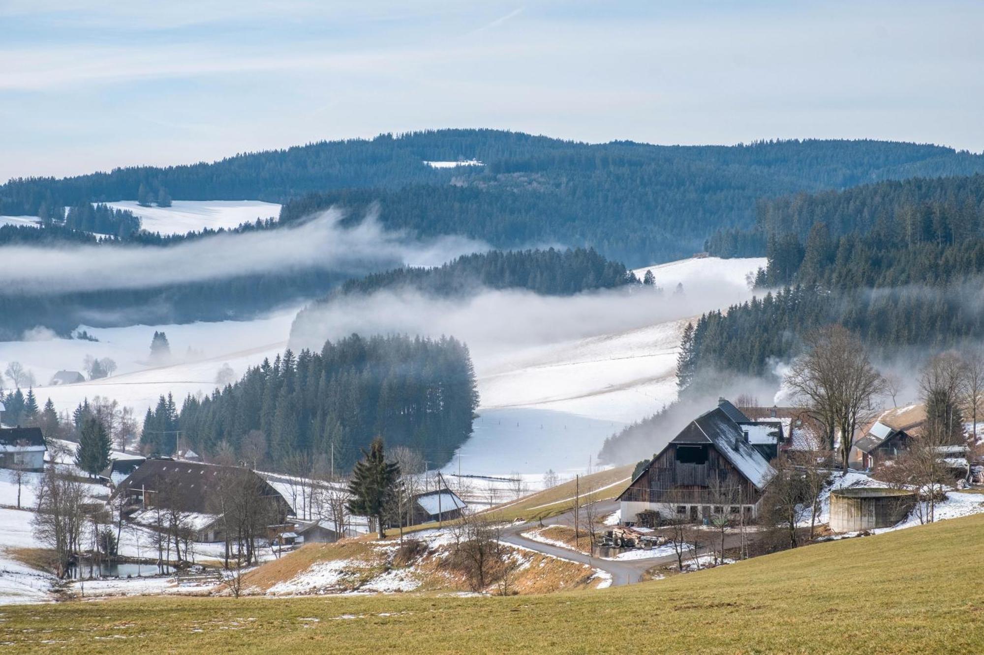 Lorenzenhaeusle Titisee-Neustadt Εξωτερικό φωτογραφία