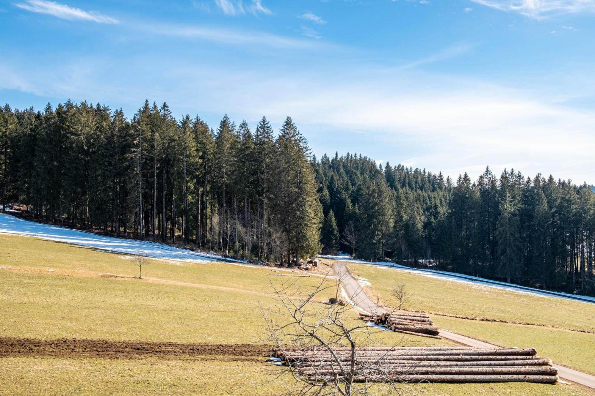 Lorenzenhaeusle Titisee-Neustadt Εξωτερικό φωτογραφία