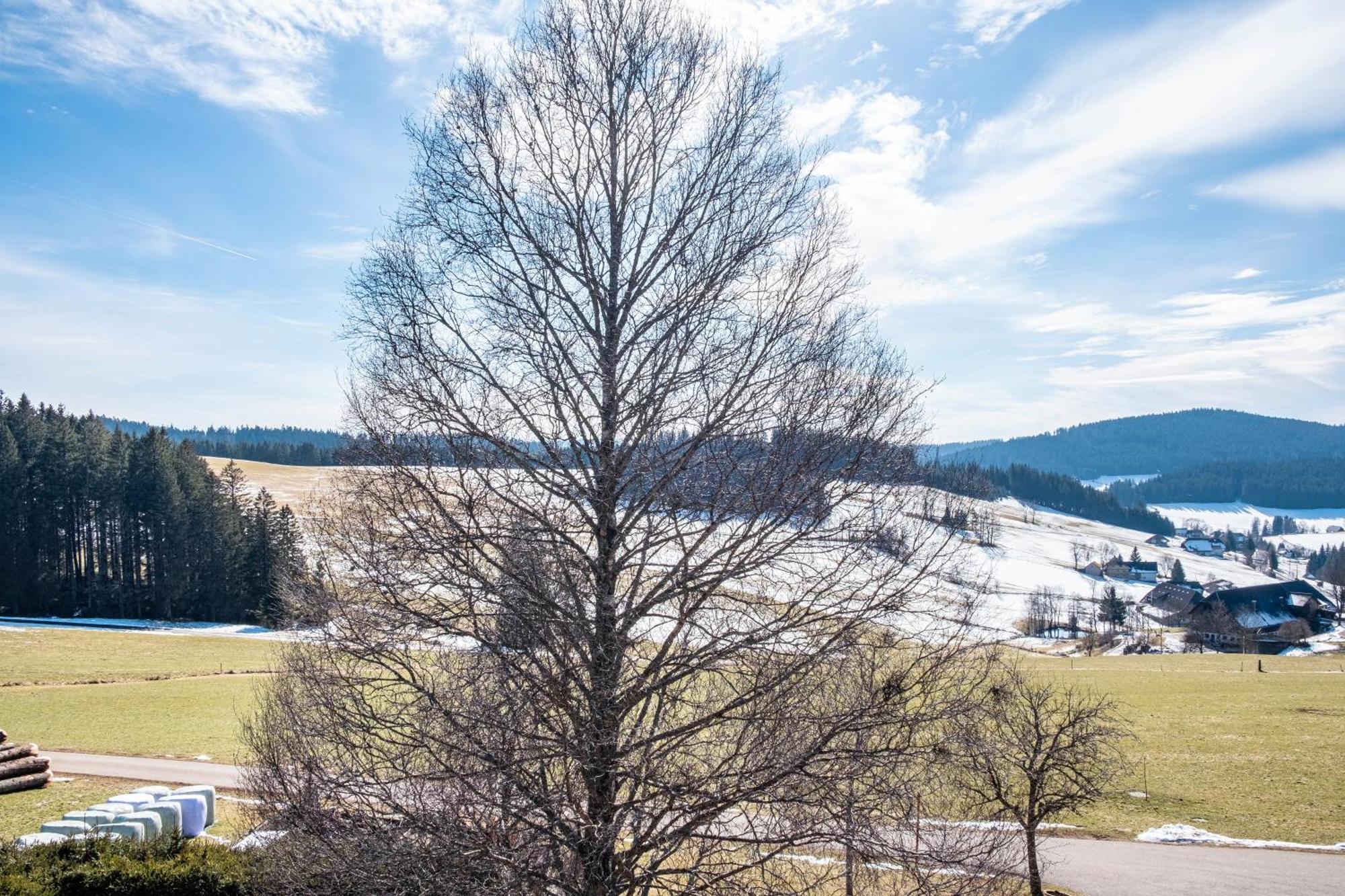 Lorenzenhaeusle Titisee-Neustadt Εξωτερικό φωτογραφία