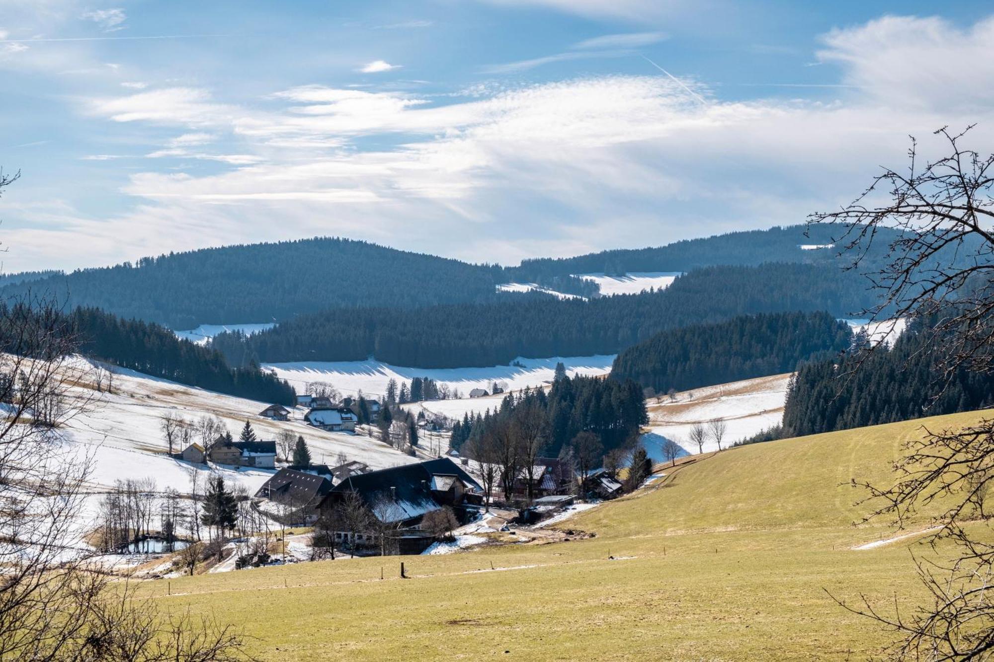 Lorenzenhaeusle Titisee-Neustadt Εξωτερικό φωτογραφία