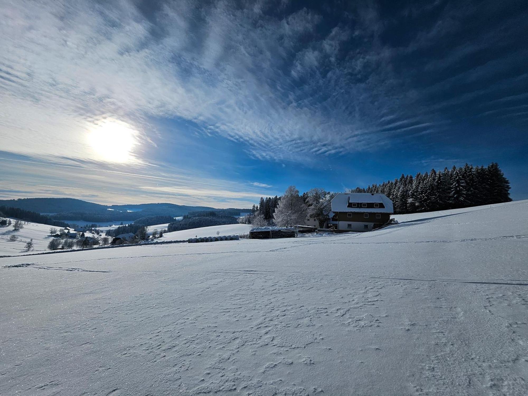 Lorenzenhaeusle Titisee-Neustadt Εξωτερικό φωτογραφία